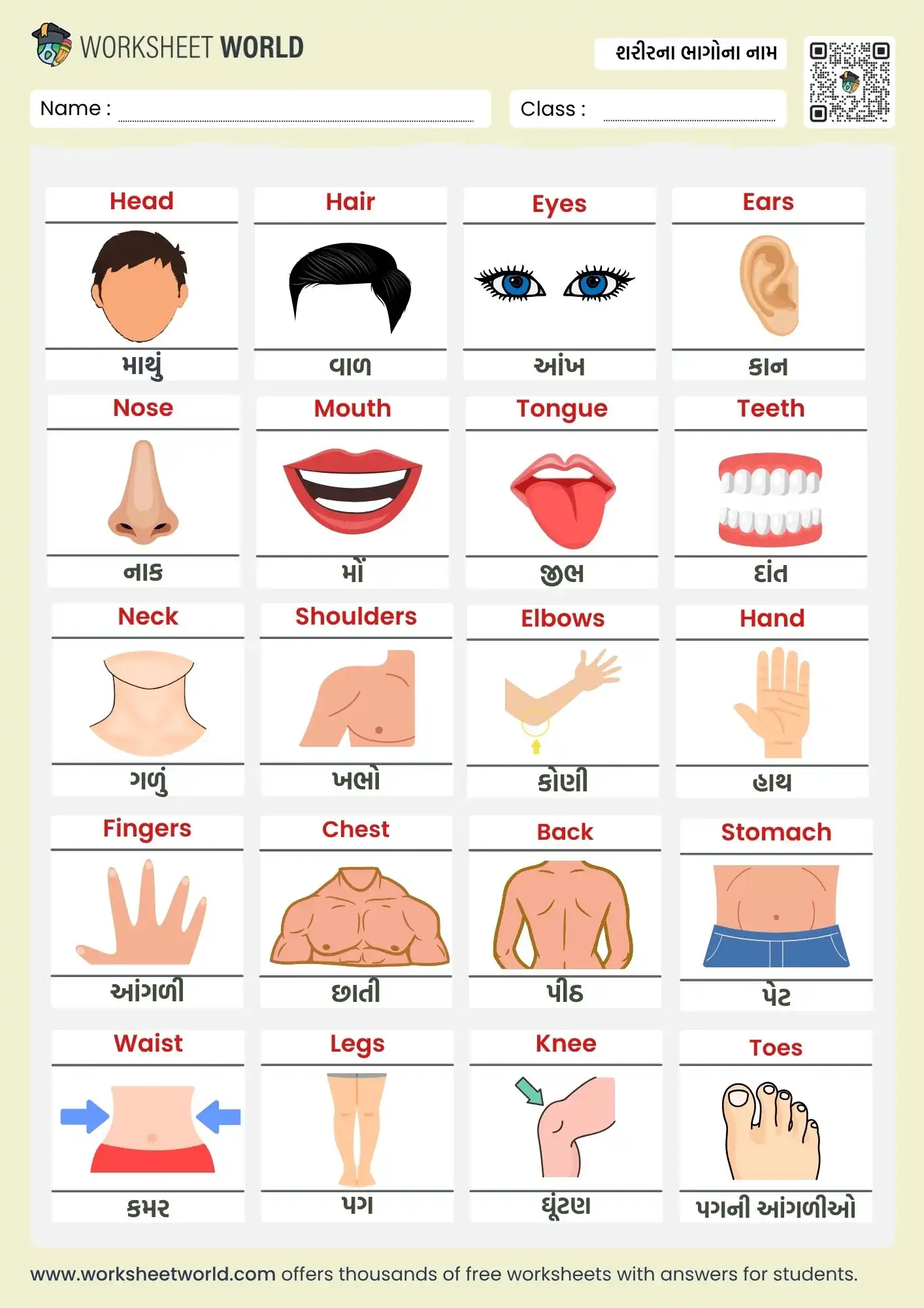 શરીરના અંગોના નામ | Body Parts Name in Gujarati and English Chart For Kids (Free PDF) 1 body parts name table in gujarati and english for kids