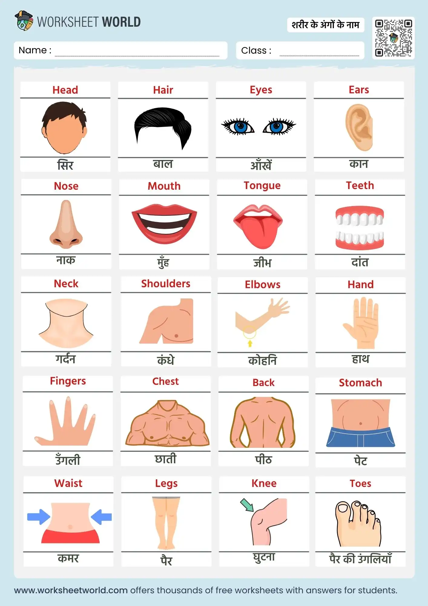 body parts name chart in hindi and english with pictures
