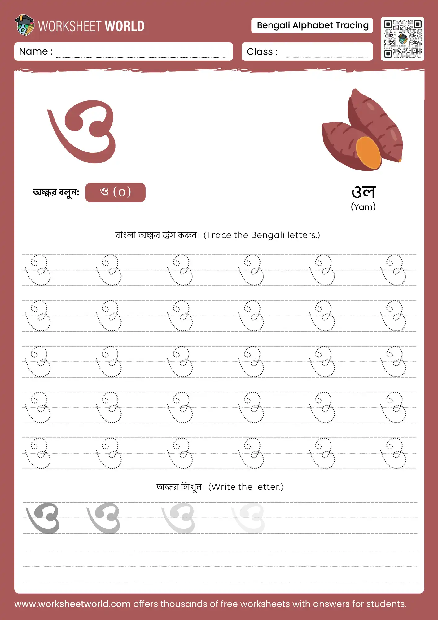 letter o bengali alphabet tracing worksheet with yam picture for kids learning