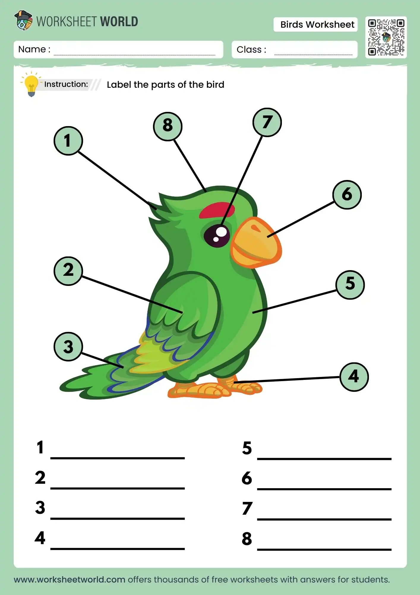 birds body parts worksheet free printable pdf for kids