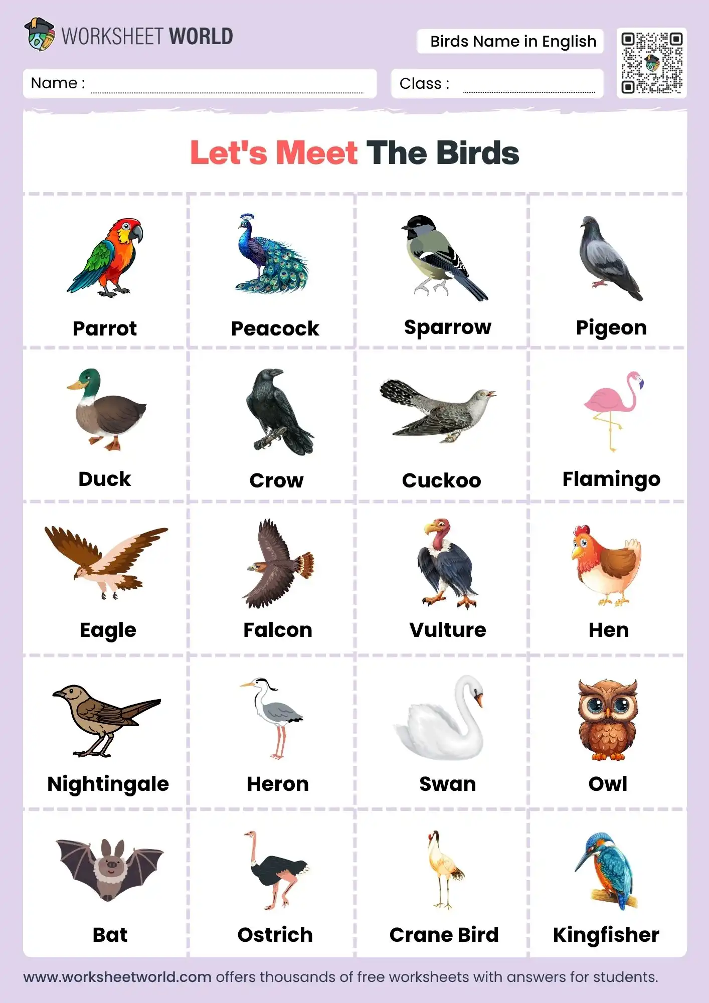 birds-name-in-english-chart birds name in english chart for kids with pictures pdf