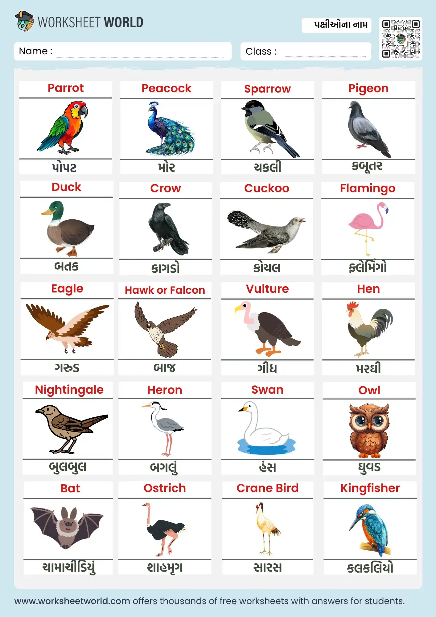 birds-name-in-gujarati-and-english-chart birds name in gujarati and english chart for kids