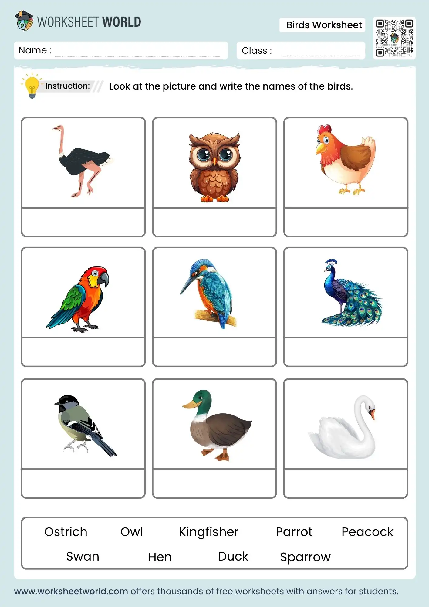 birds-name-worksheet birds name worksheet for kids free printable pdf