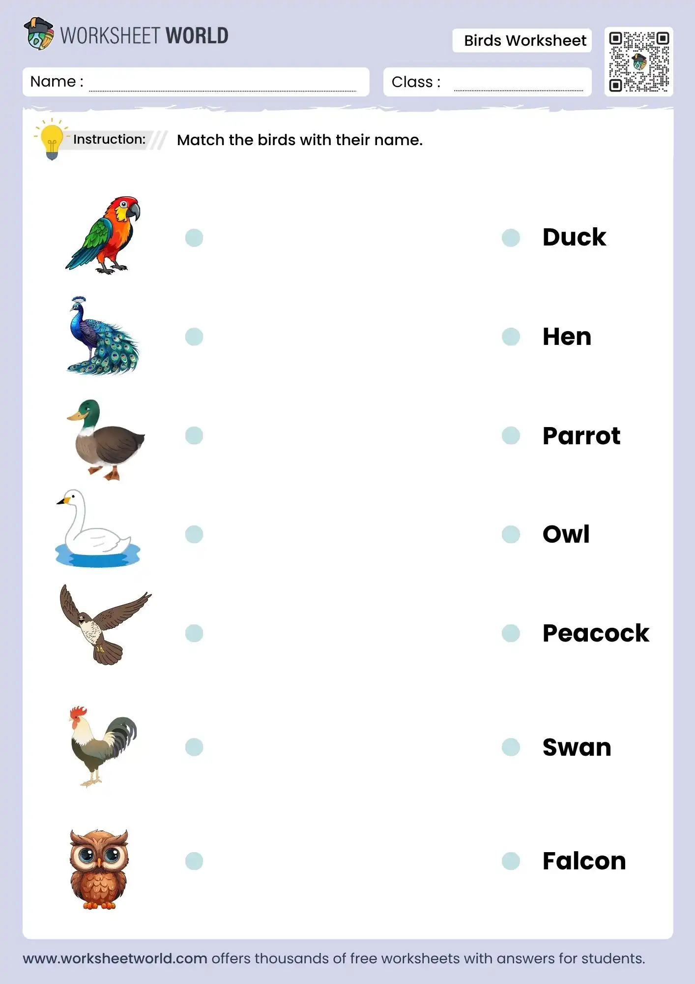 birds-worksheet-for-kindergarten-and-nursery birds worksheet for kindergarten and nursery free printable pdf