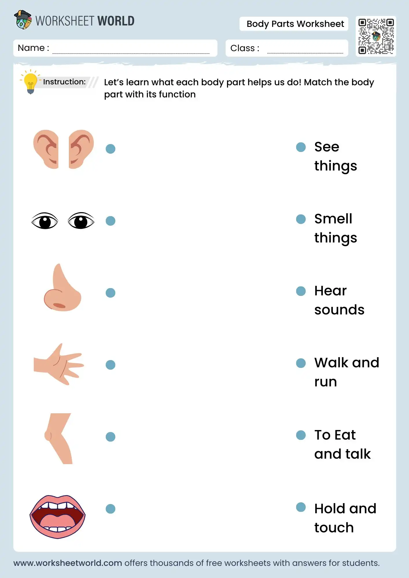 body parts and their functions worksheet for kindergarten students