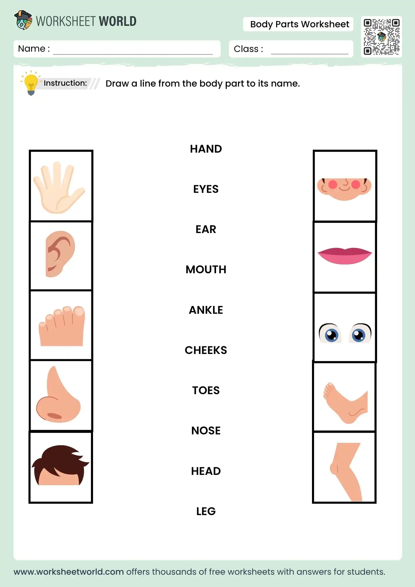 body-parts-matching-worksheet body parts matching worksheet for nursery and kindergarten printable
