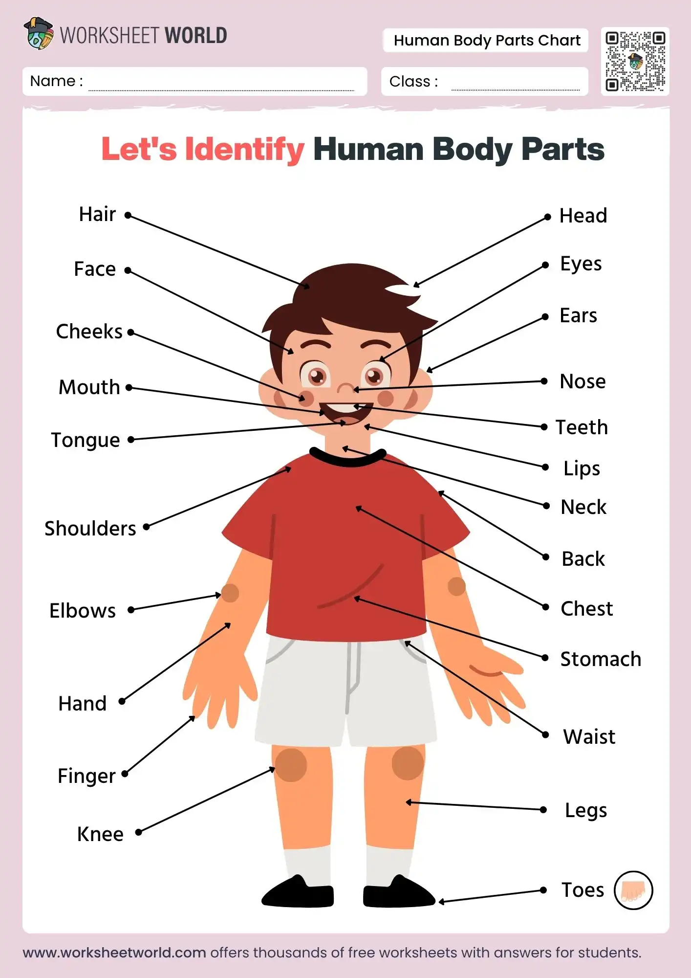 body-parts-name-in-english-chart body parts name in english worksheet for nursery and kindergarten
