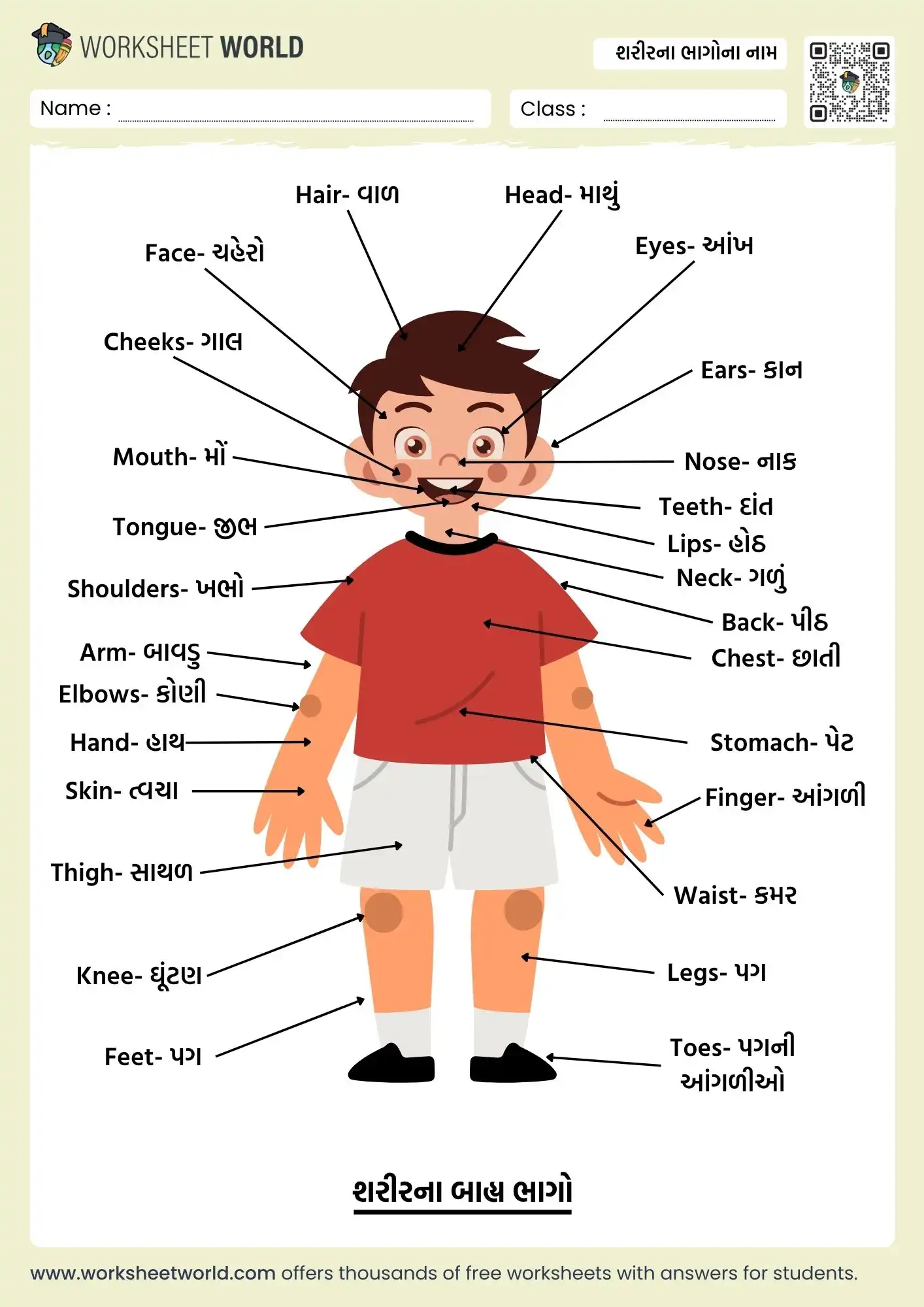 body-parts-name-in-gujarati-and-english-chart body parts name in gujarati and english chart for kids