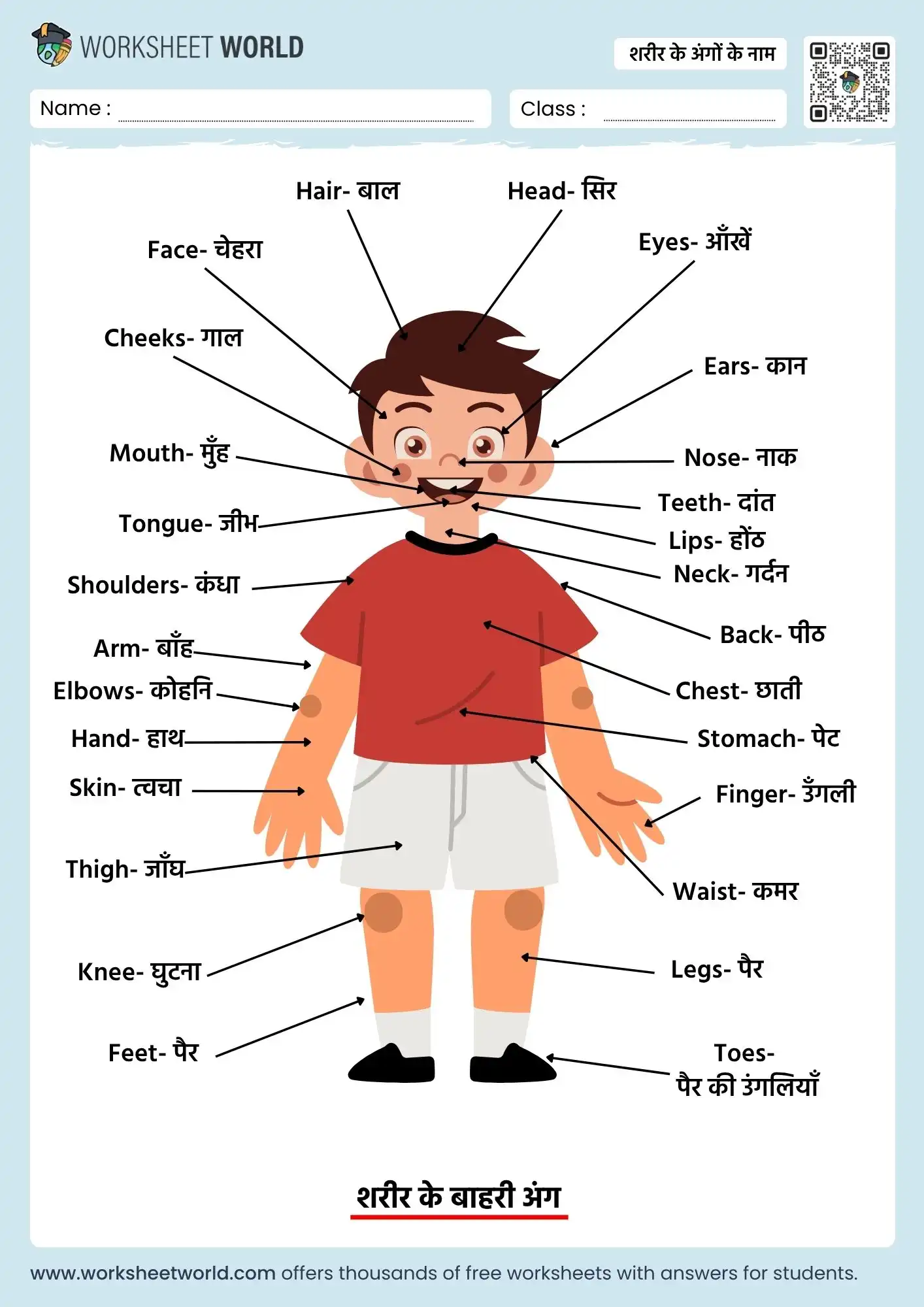 body parts name in hindi and english labelled chart for kids