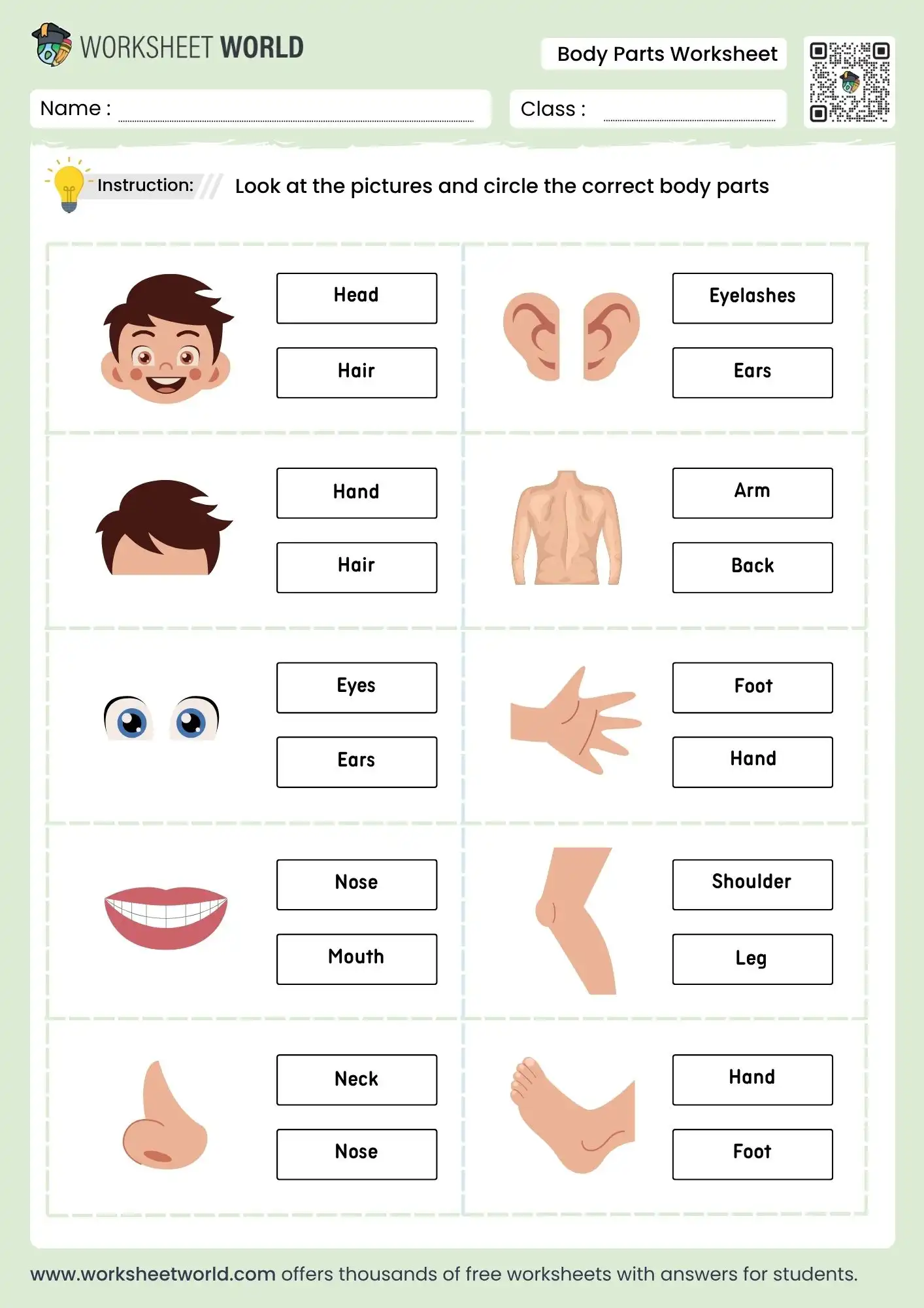 circle the body parts worksheet for grade 1 and grade 2 printable pdf