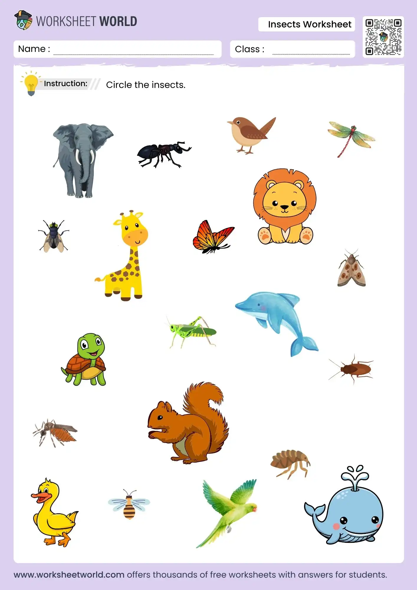 circle the insects worksheet for kindergarten nursery lkg and ukg