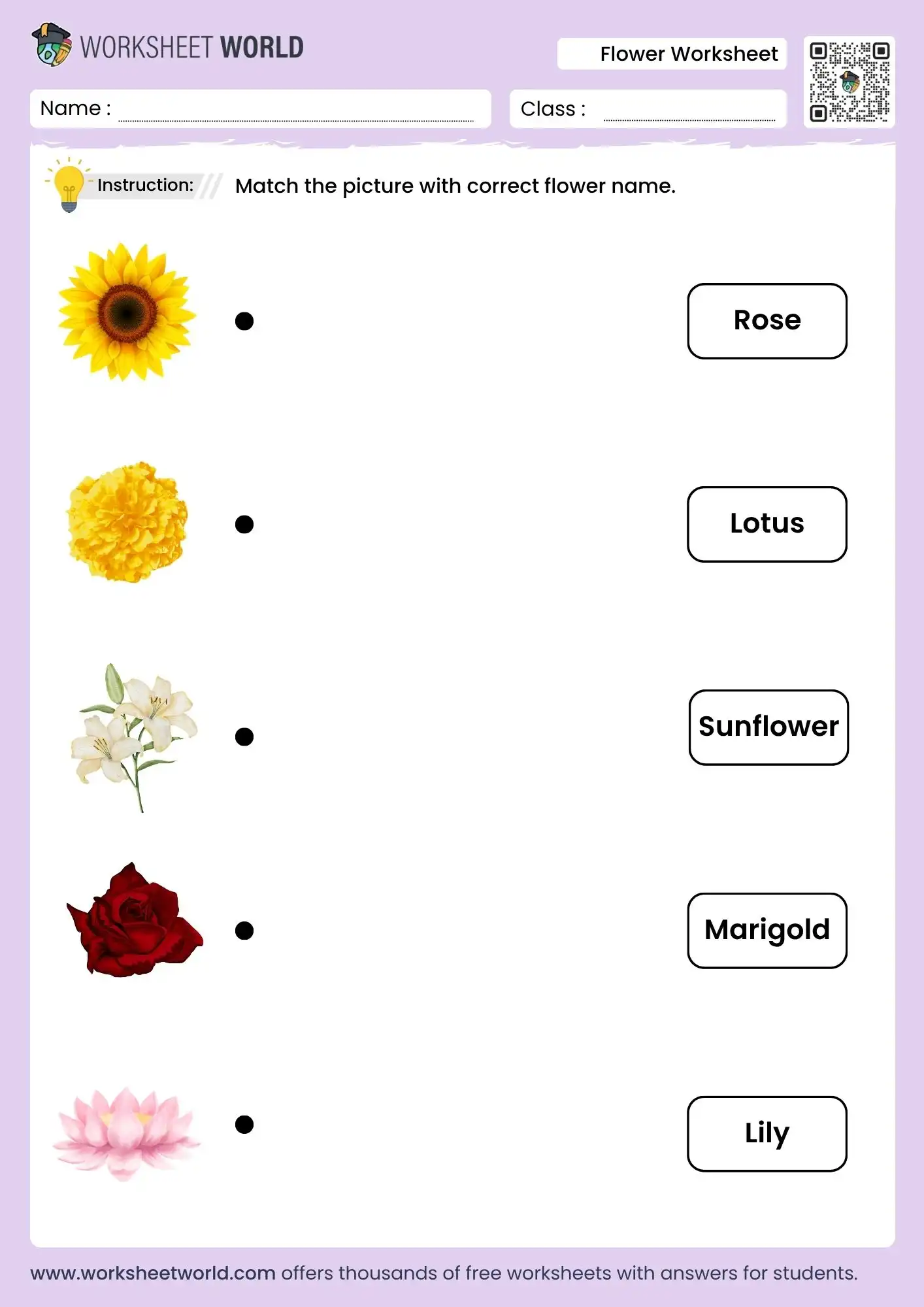 flower worksheet for kindergarten free printable pdf