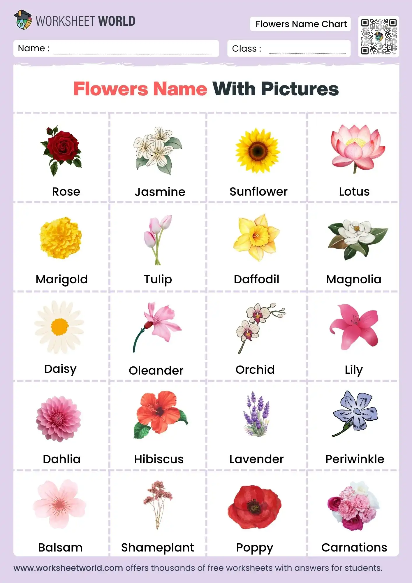 flowers name in english chart for kids printable