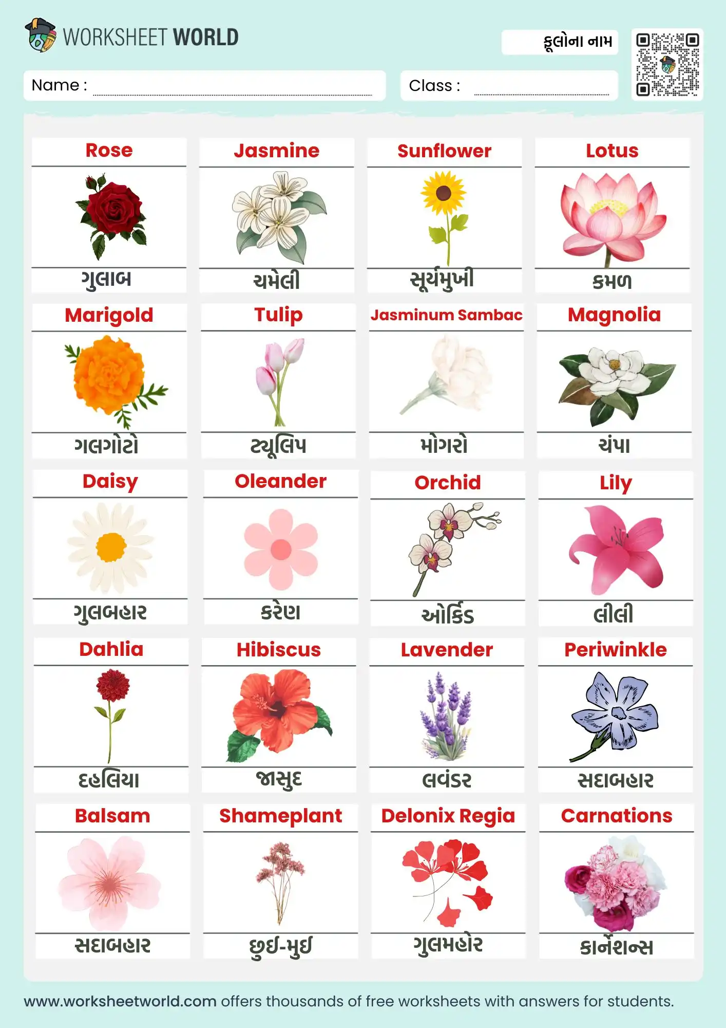 flowers-name-in-gujarati-and-english-chart flowers name in gujarati and english chart for kids