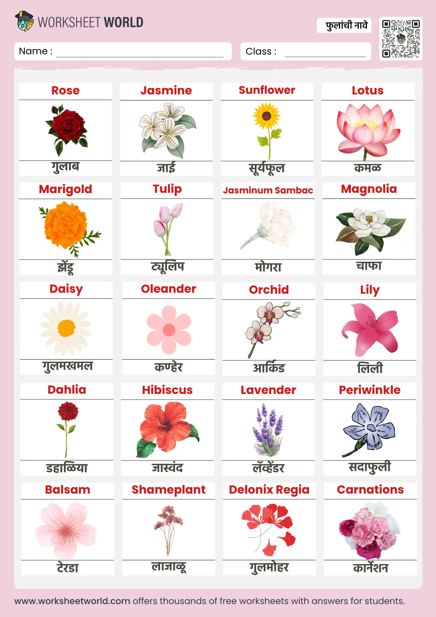flowers name in marathi and english simple learning chart
