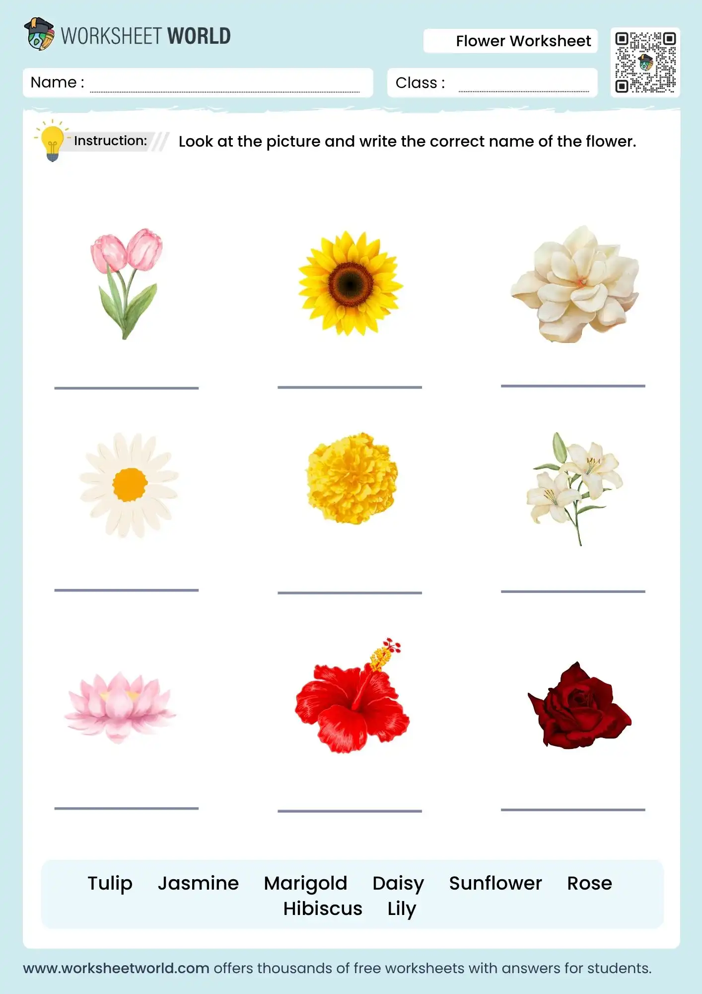flowers name worksheet for kids free printable pdf