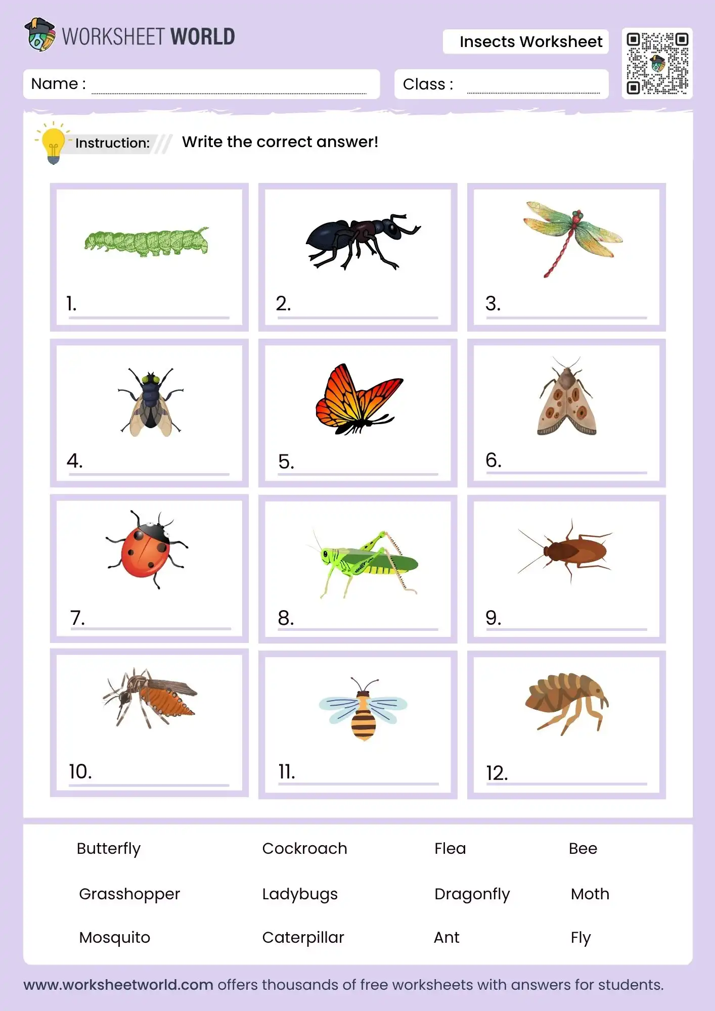 insects worksheet for kids with names and pictures activity