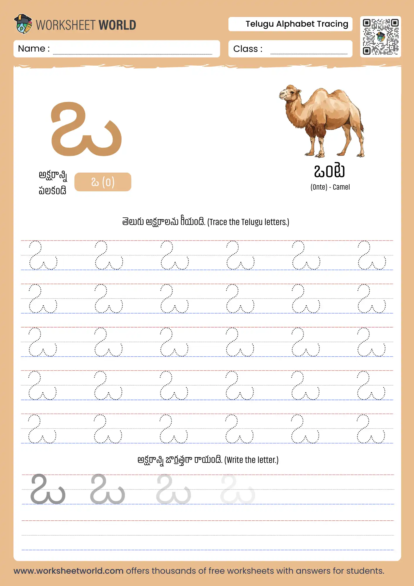 letter o telugu alphabet tracing worksheet with camel picture for kindergarten