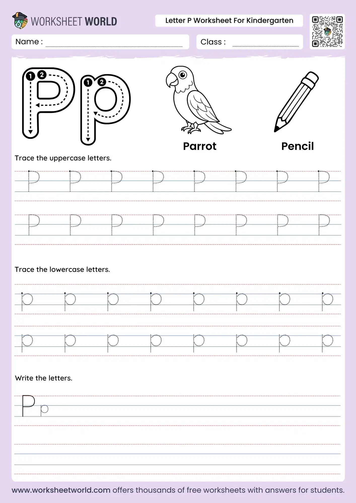 letter p worksheet for kindergarten featuring a parrot and pencil with multiple rows of dotted tracing lines