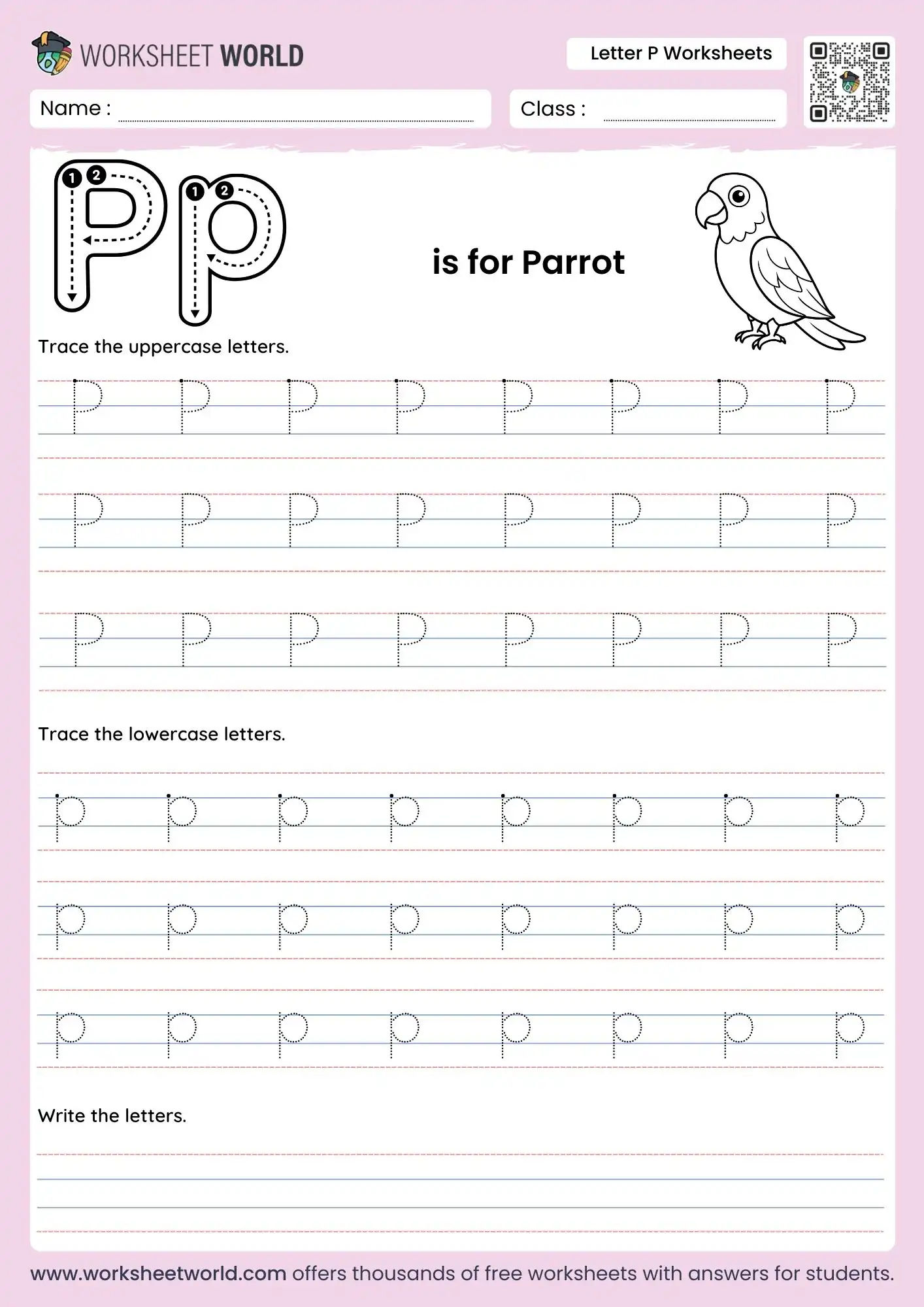 letter p worksheets featuring a parrot illustration and multiple rows of dotted tracing lines