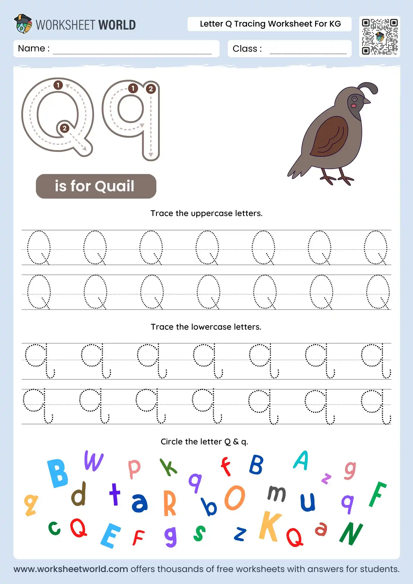 letter q tracing worksheets for kindergarten featuring a quail illustration and a colorful letter search game