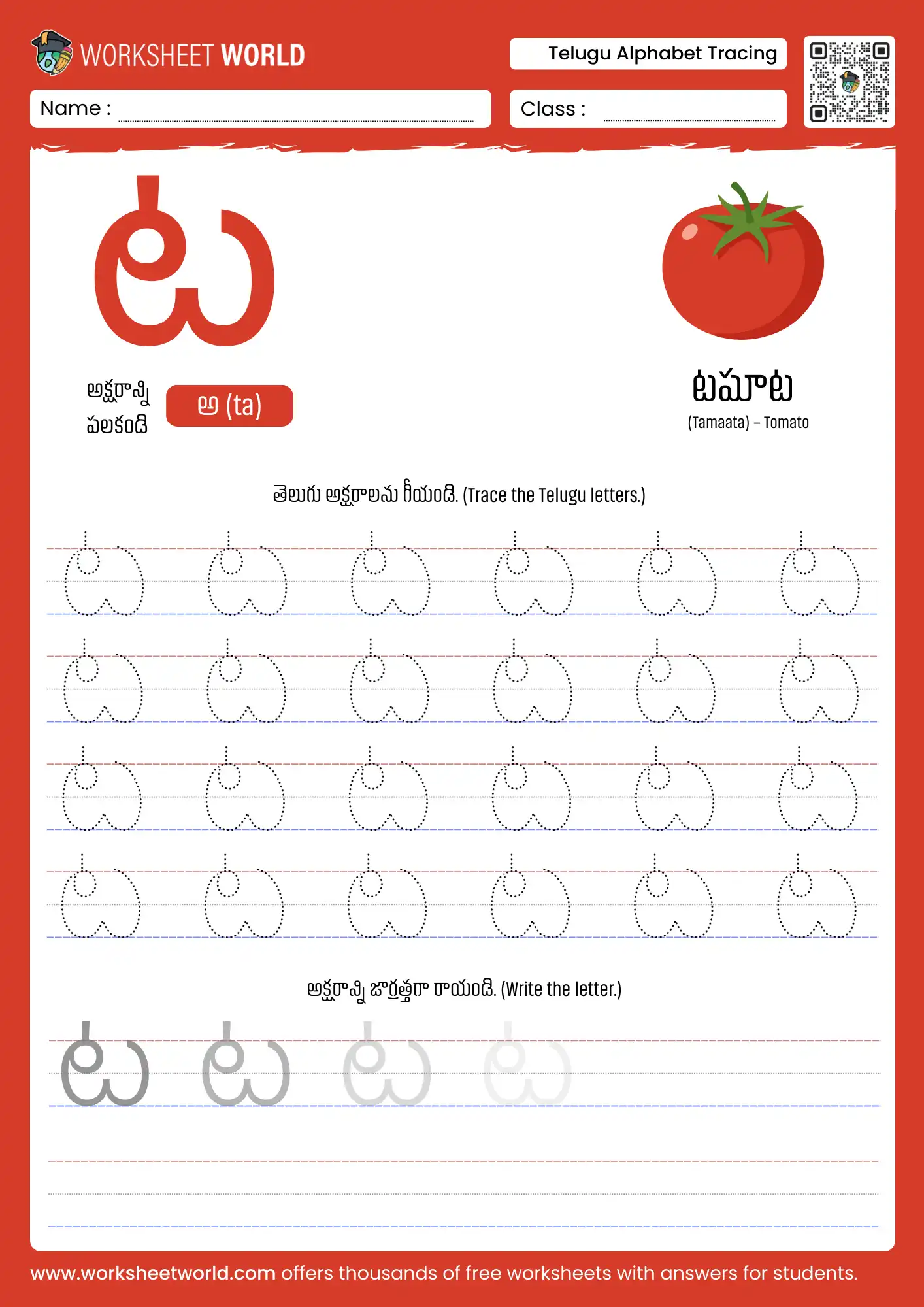 letter taa telugu alphabet tracing worksheet with tomato picture for kids
