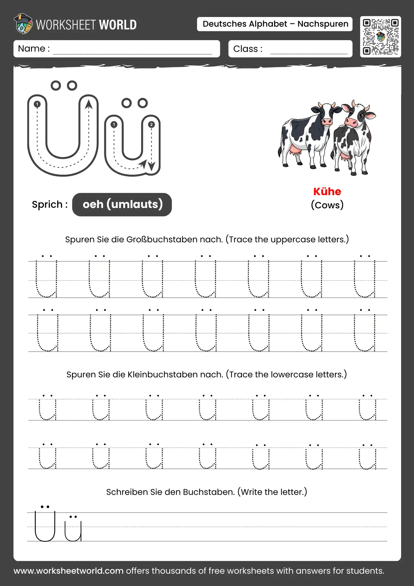 letter ü german alphabet tracing worksheet with cows picture