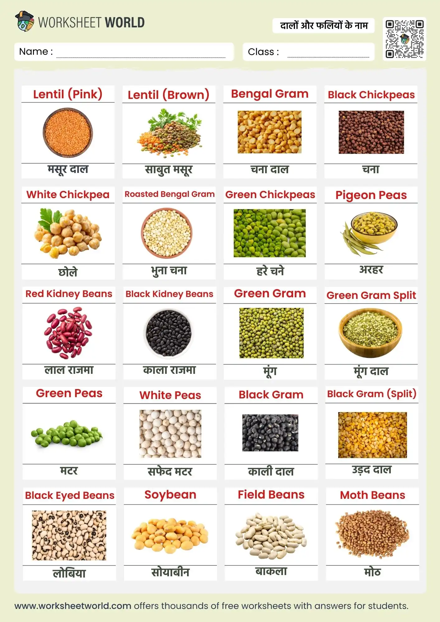 pulses name in hindi and english chart for kids