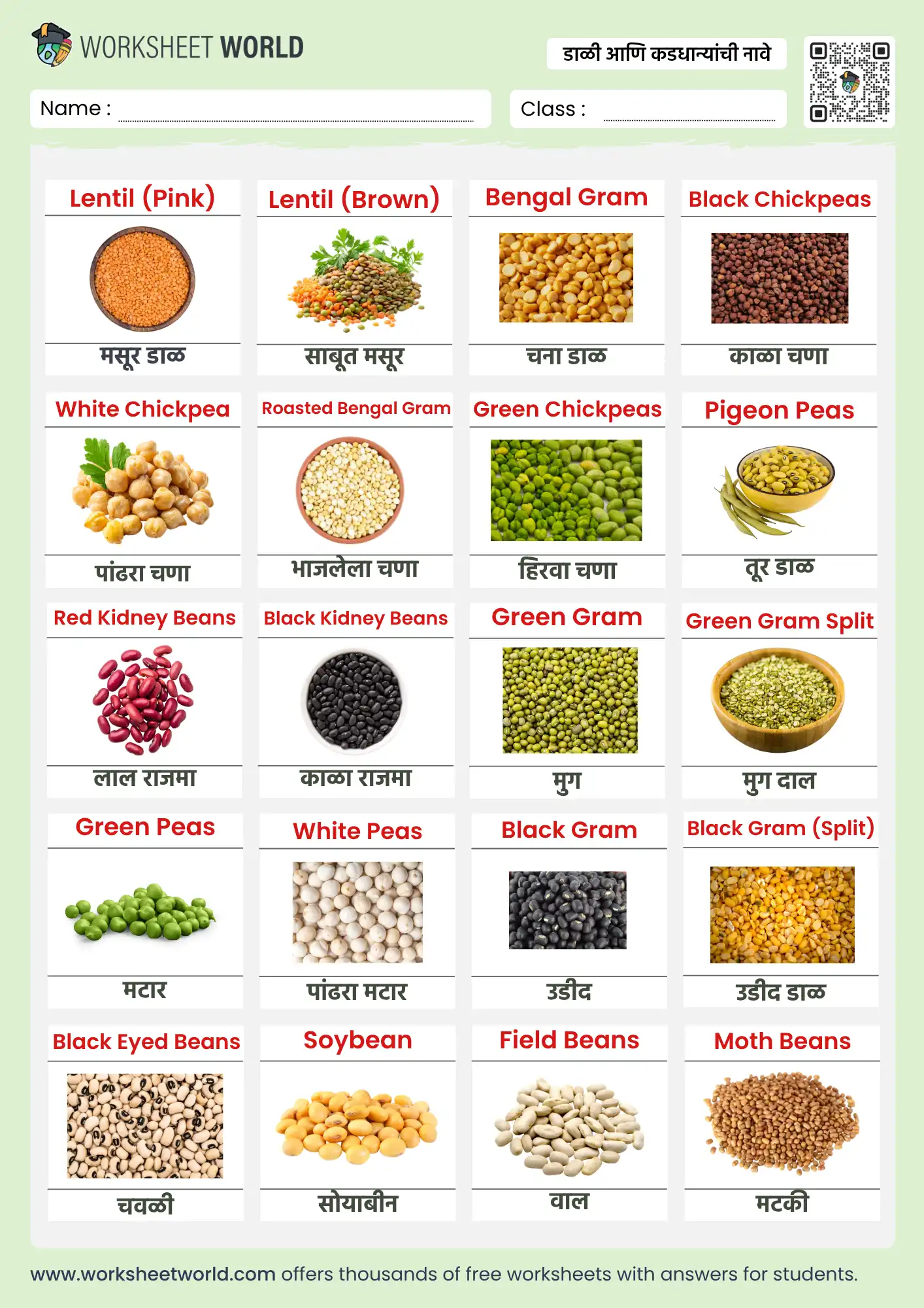 pulses-name-in-marathi-and-english-chart pulses name in marathi and english chart for kids learning