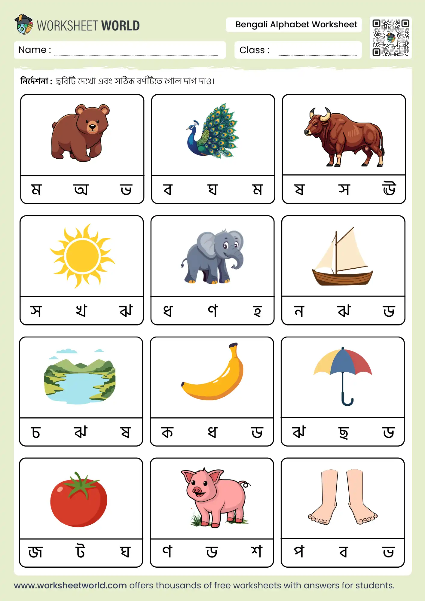 watch picture and select correct letter bengali alphabet worksheet with bear, peacock, and bull pictures for students.