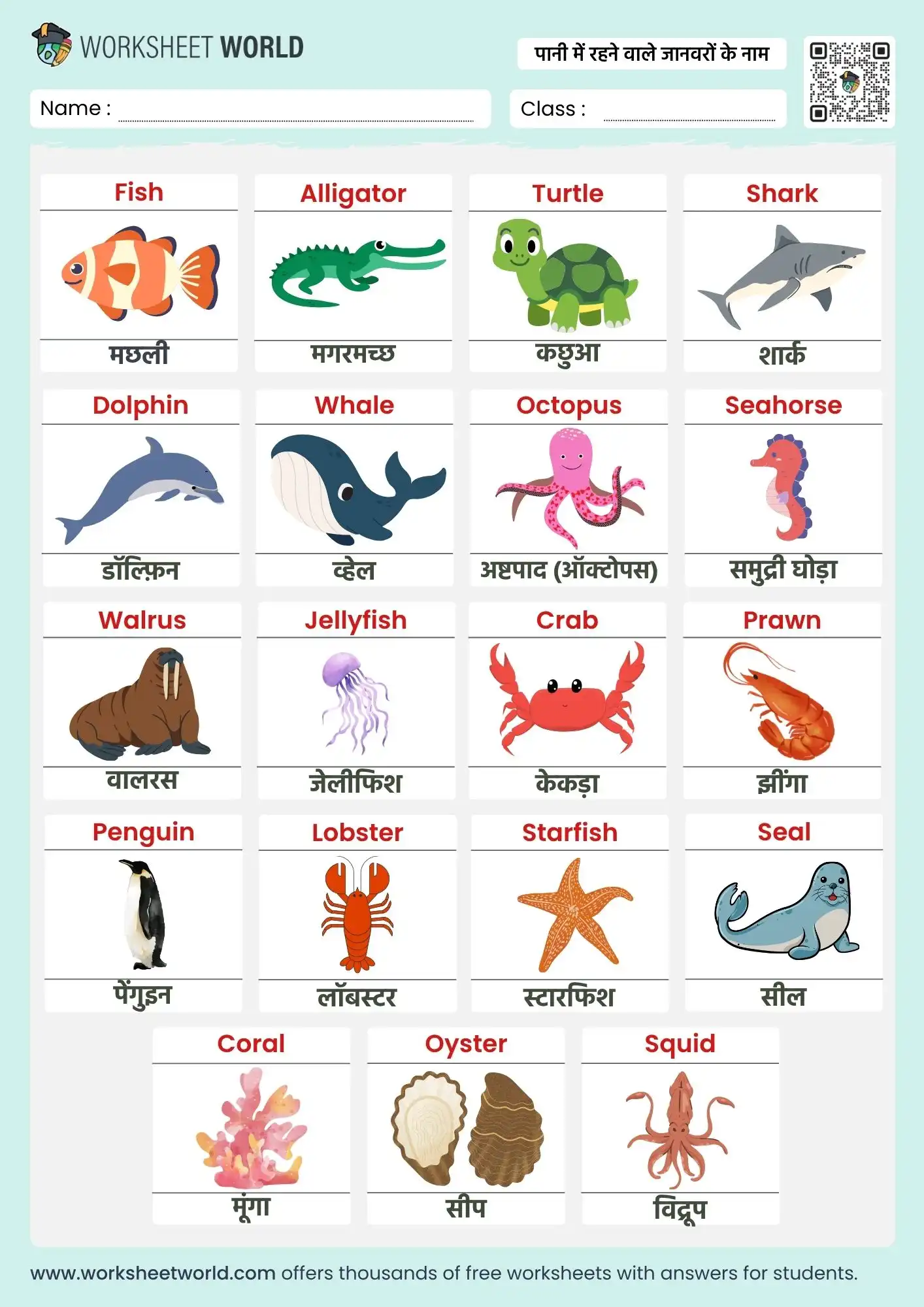 water animals name in hindi and english chart for kids