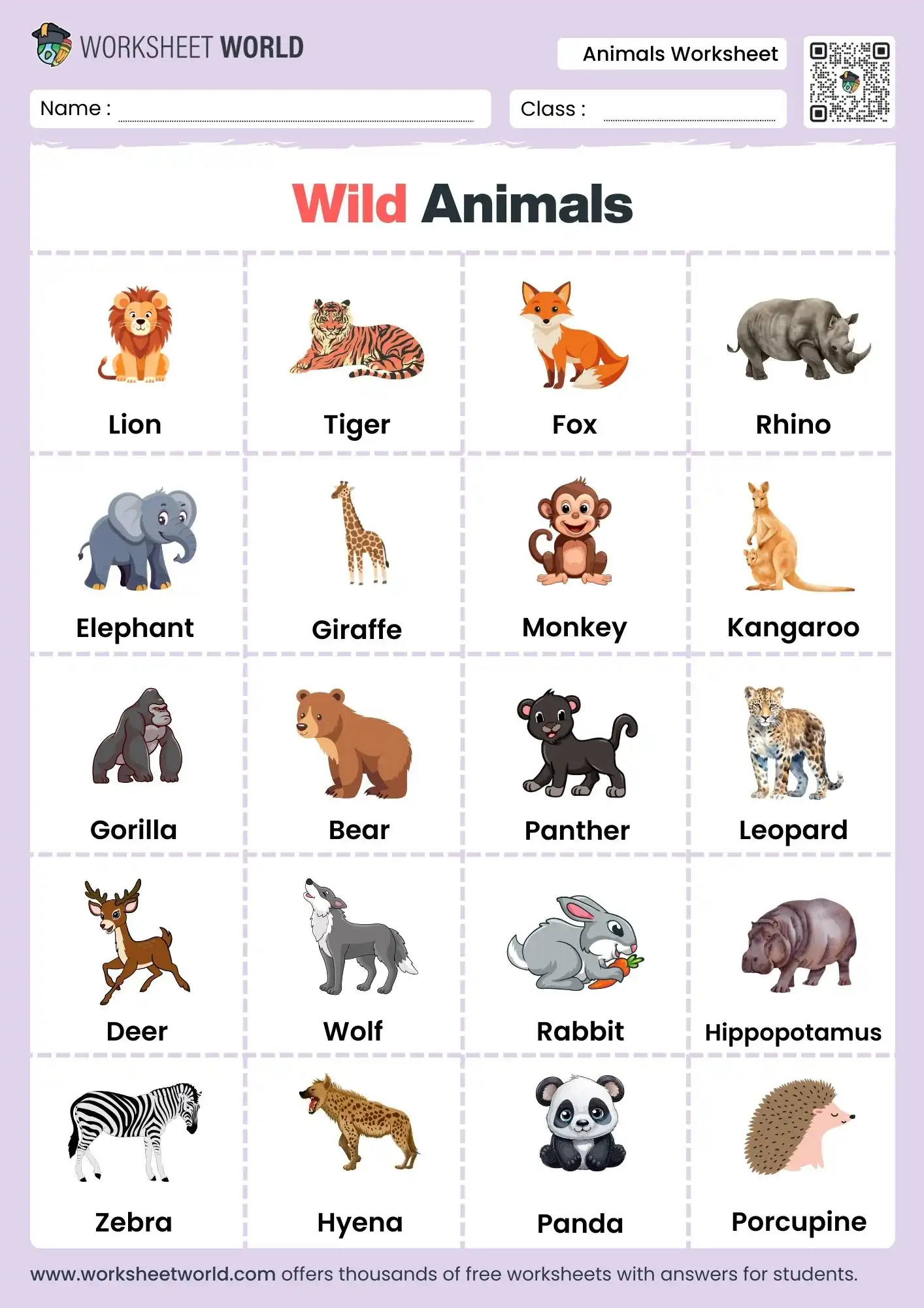 Wild Animals And Their Name